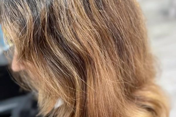 499662431_979064474306156_4200781989088717636_n (1)